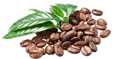 Tea Coffee Vending Machine Dealers in Chennai Coffee Vending Machine Dealers in Chennai